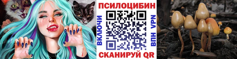 Галлюциногенные грибы Cubensis закладки Белово